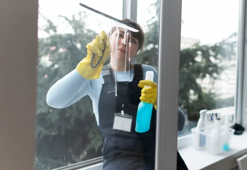 Nettoyage de vitres intérieures et extérieures à Sainte-Croix-Vallée-Française